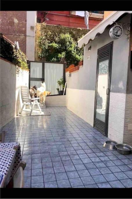 Napoli Centro Casa Con Due Camere E Cucina Exterior photo
